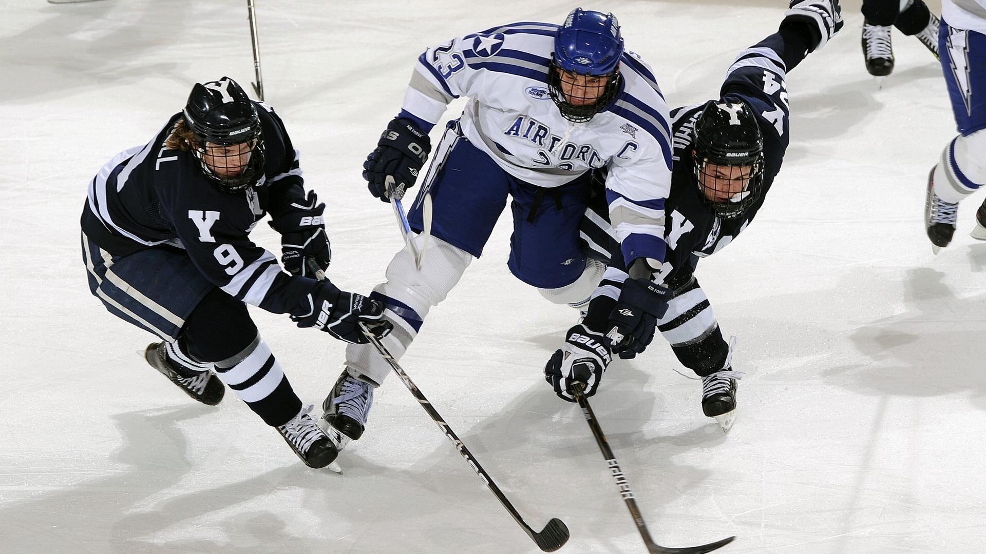 乌鸦主帅称团队凝聚力是成功关键,乌鸦聚齐